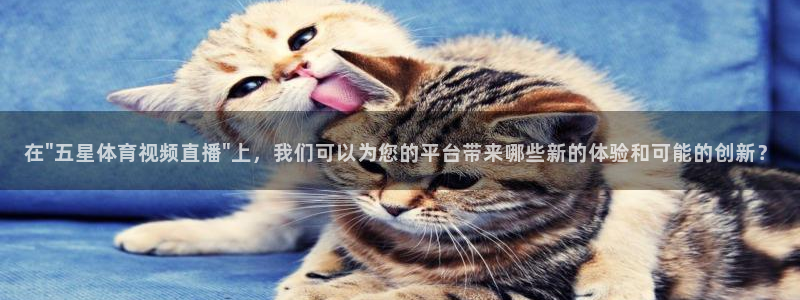 在\