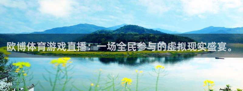 欧博体育游戏直播：一场全民参与的虚拟现实盛宴。